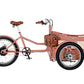 Picture of a Rayvolt Trike red