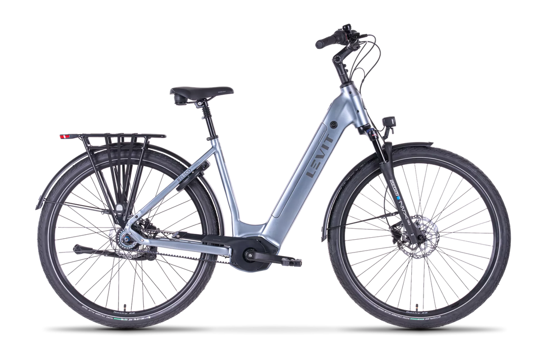 LEVIT BELECO 5 (Champagne & Gunmetal silver)
