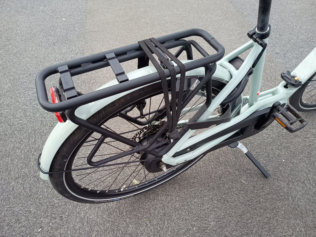 Gazelle Bloom C310 HMS