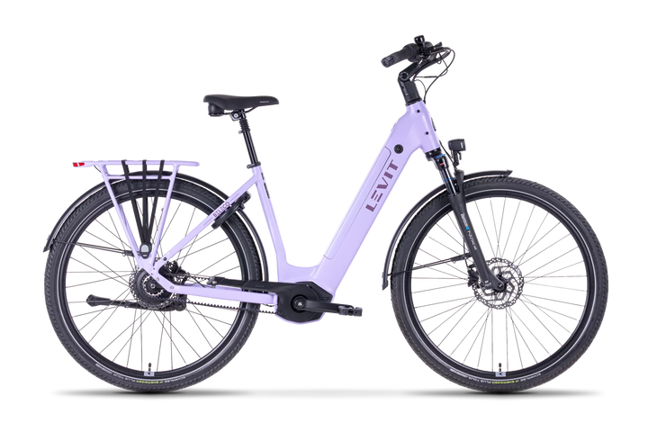 LEVIT BELECO 3 lowstep (Allspice & Lavender)
