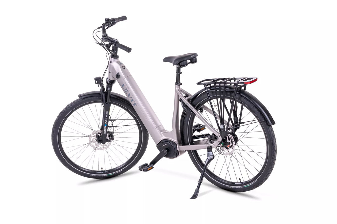 LEVIT BELECO 5 (Champagne & Gunmetal silver)