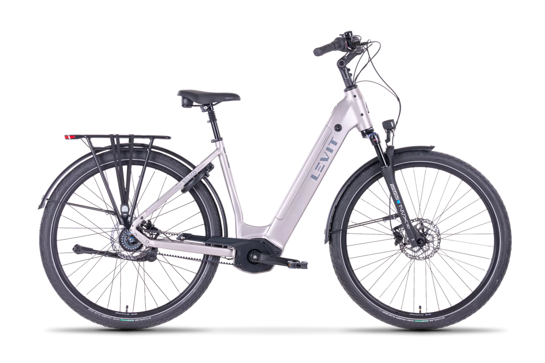 LEVIT BELECO 5 (Champagne & Gunmetal silver)
