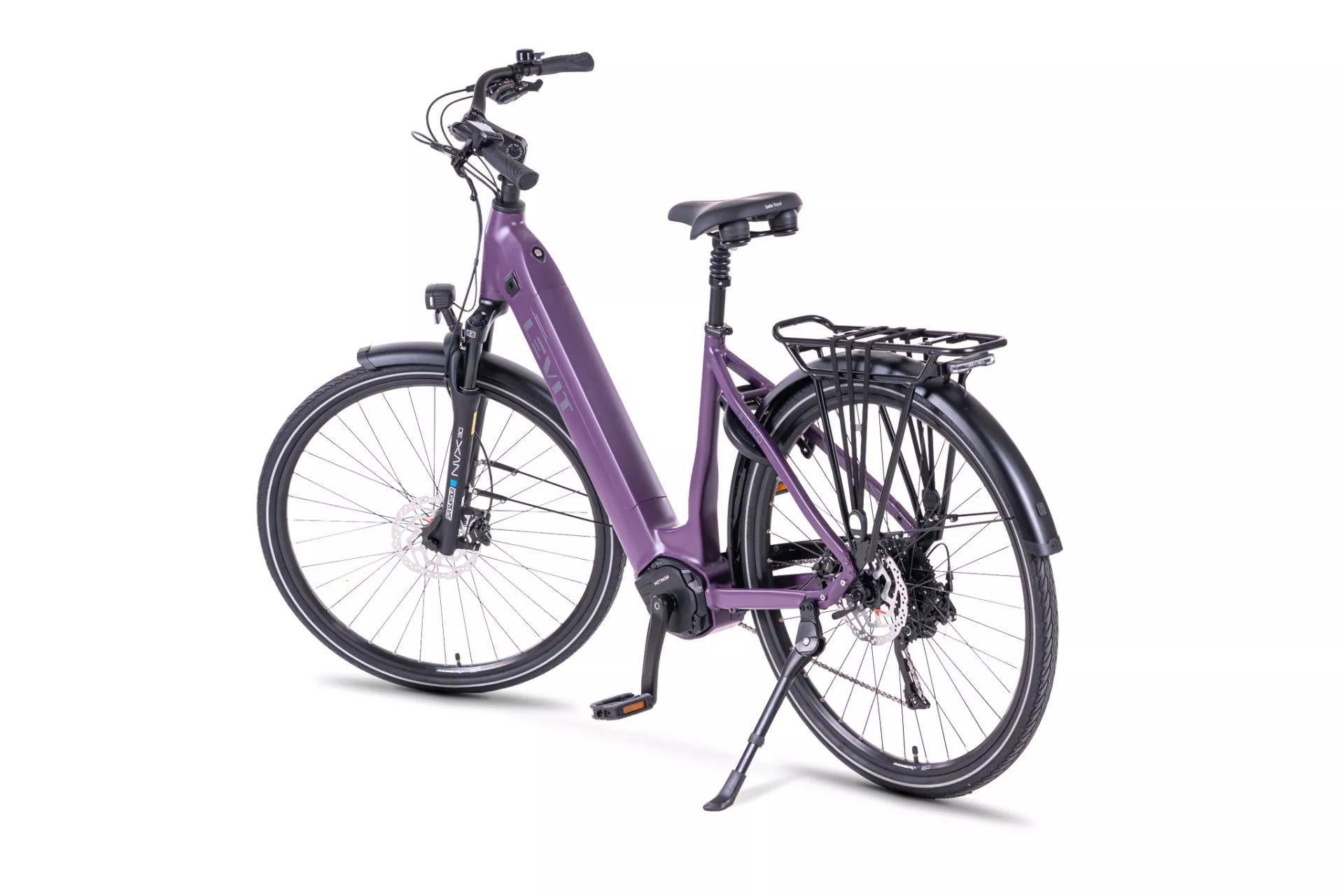 LEVIT BELECO RD (Bordeaux & Dark navy blue)