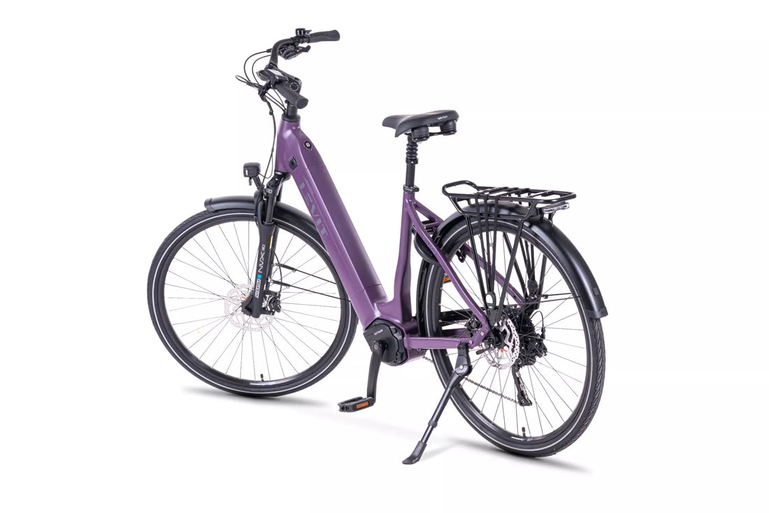 LEVIT BELECO RD (Bordeaux & Dark navy blue)