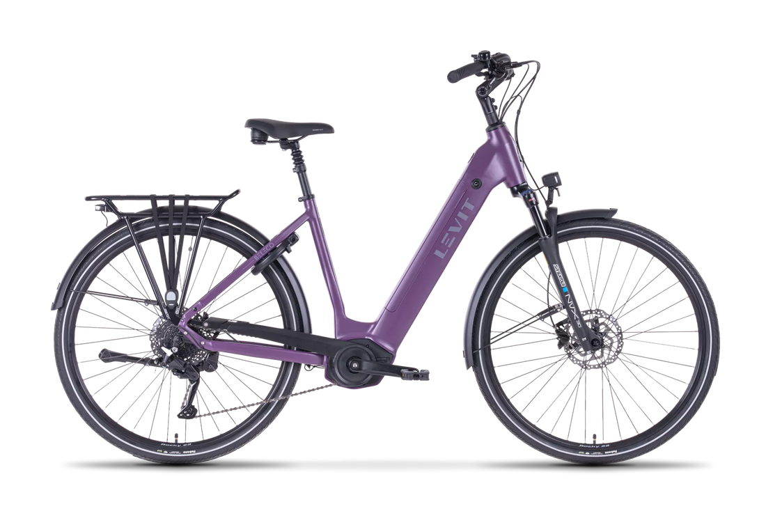 LEVIT BELECO RD (Bordeaux & Dark navy blue)