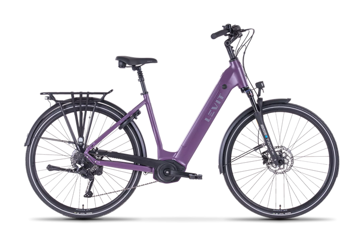 LEVIT BELECO RD (Bordeaux & Dark navy blue)