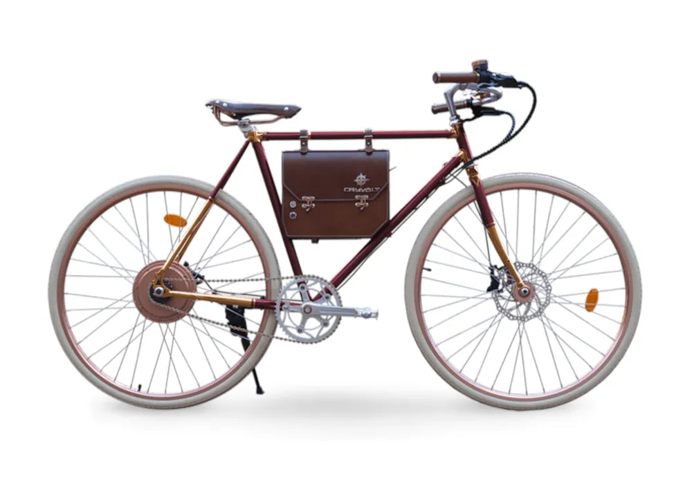 Picture of a Red Rayvolt Ambassador