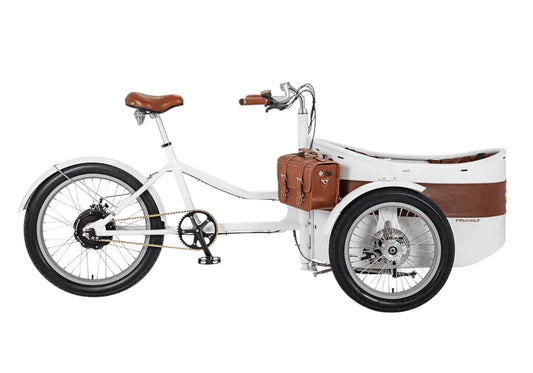 E trikes for sale hotsell