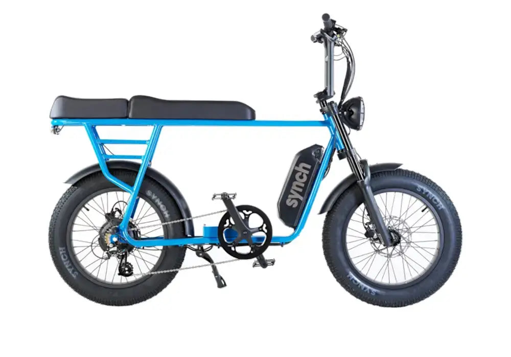 Picture of a blue Synch Longtail Monkey