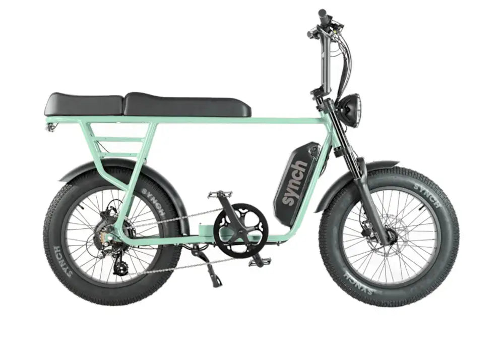 Picture of a mint Synch Longtail Monkey