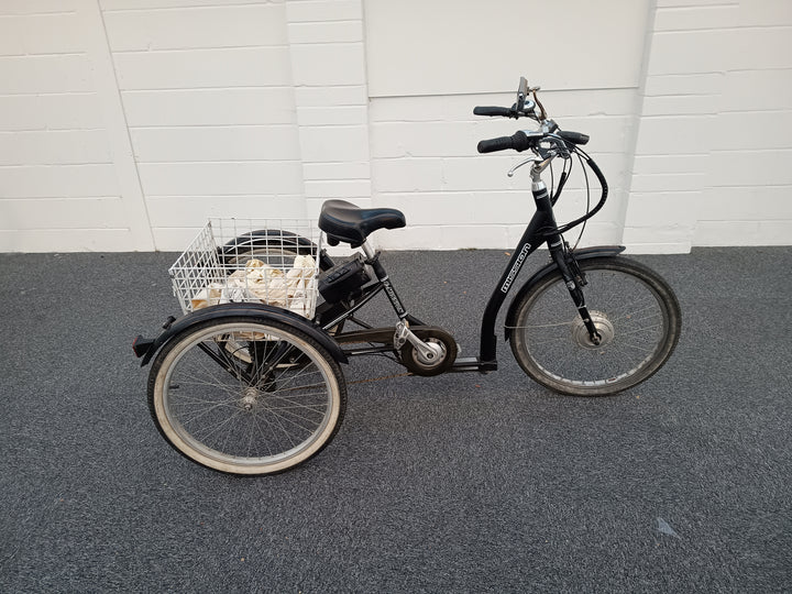 E-Mission Trike Lo-step