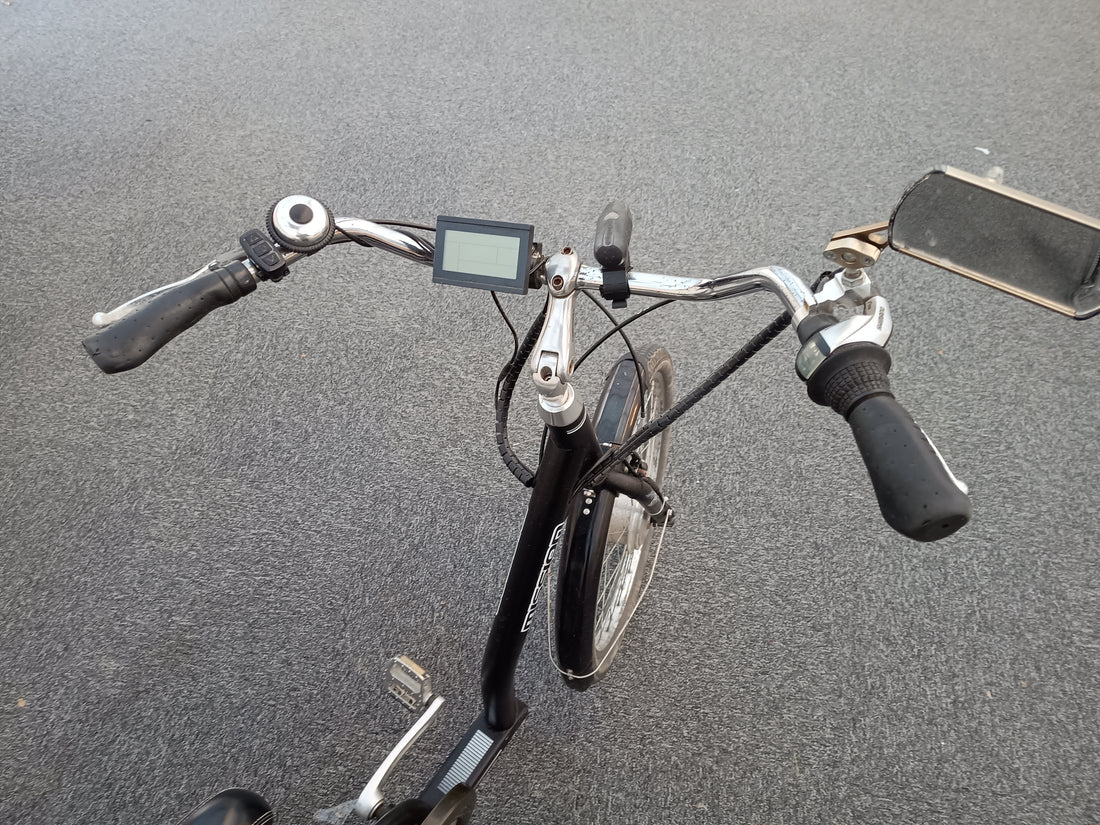 E-Mission Trike Lo-step