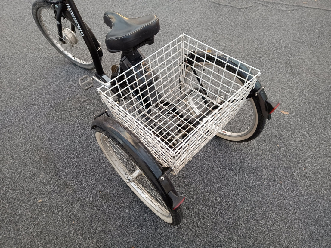 E-Mission Trike Lo-step