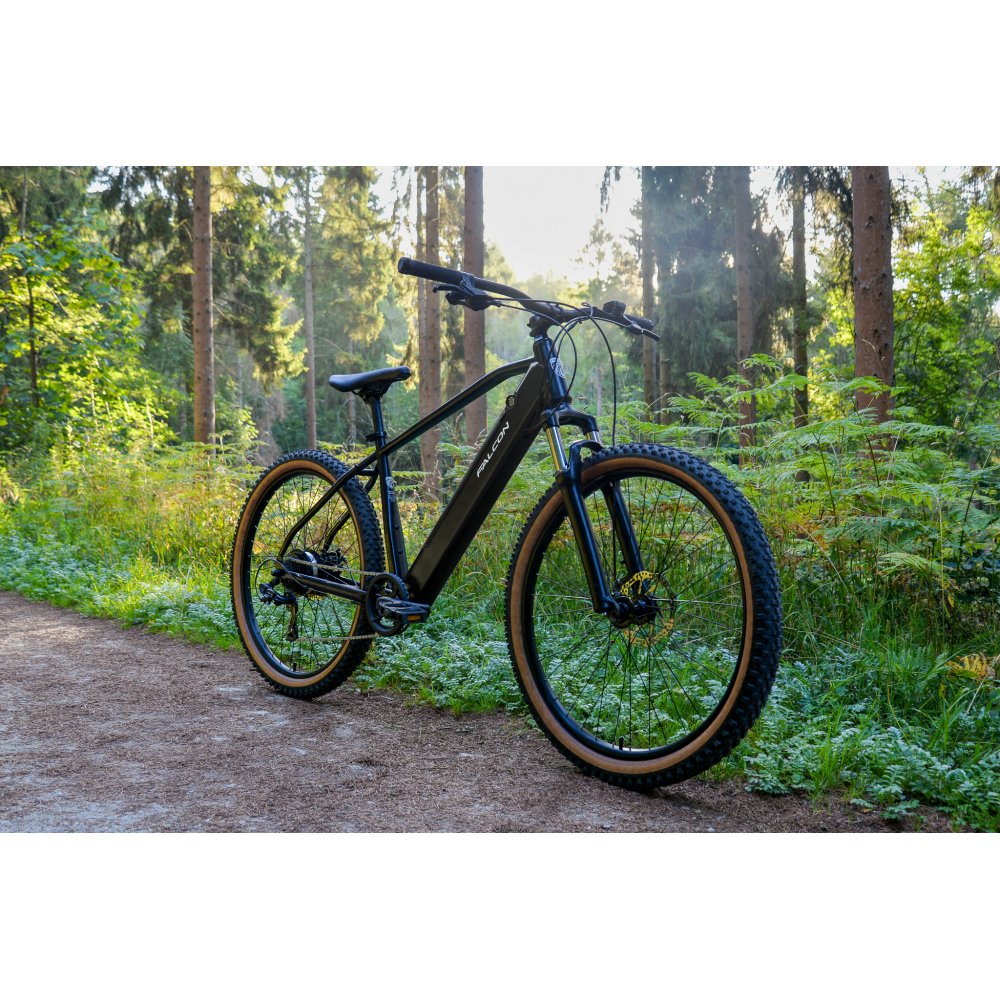Falcon Turbine e-MTB