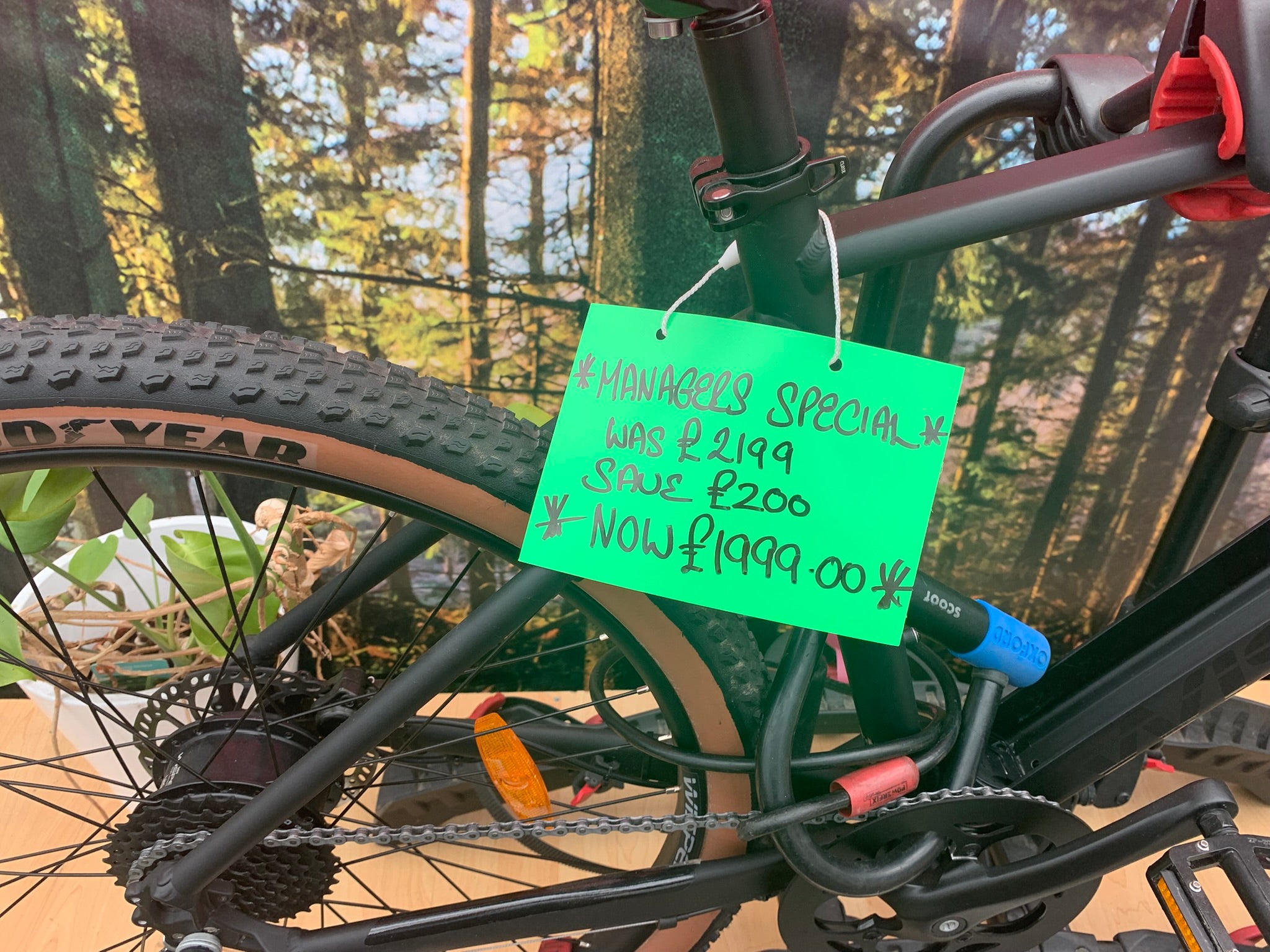 Wisper Tailwind TRAIL