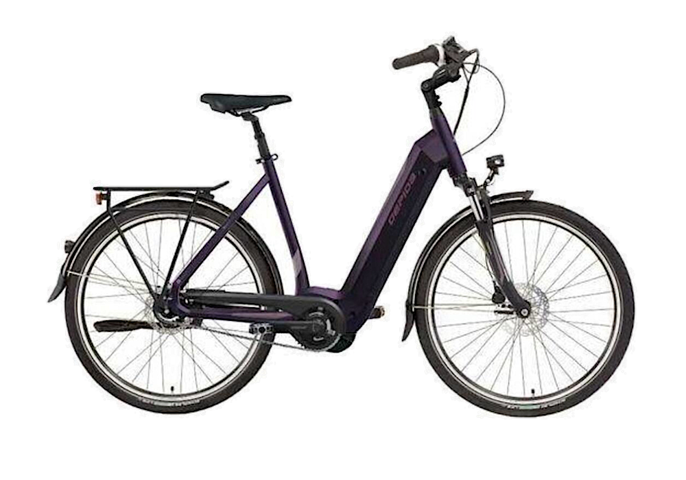 Gepida Bonem Edge 26" purple picture