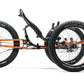 Pictuer of full fat ice trike