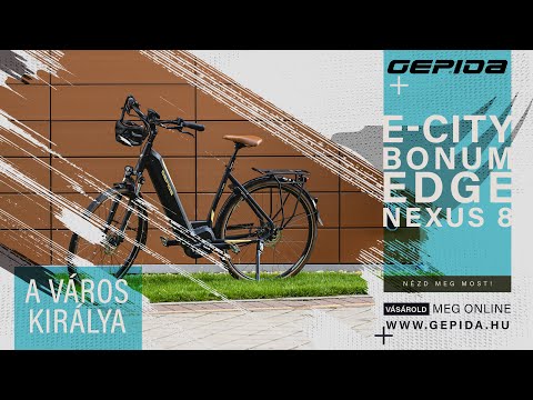 Gepida Bonum Edge 28"